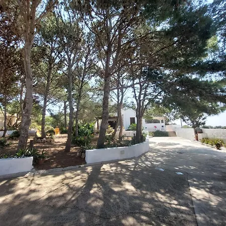 Casa Oasi Dammuso Immerso Nel Casa De Giorgis